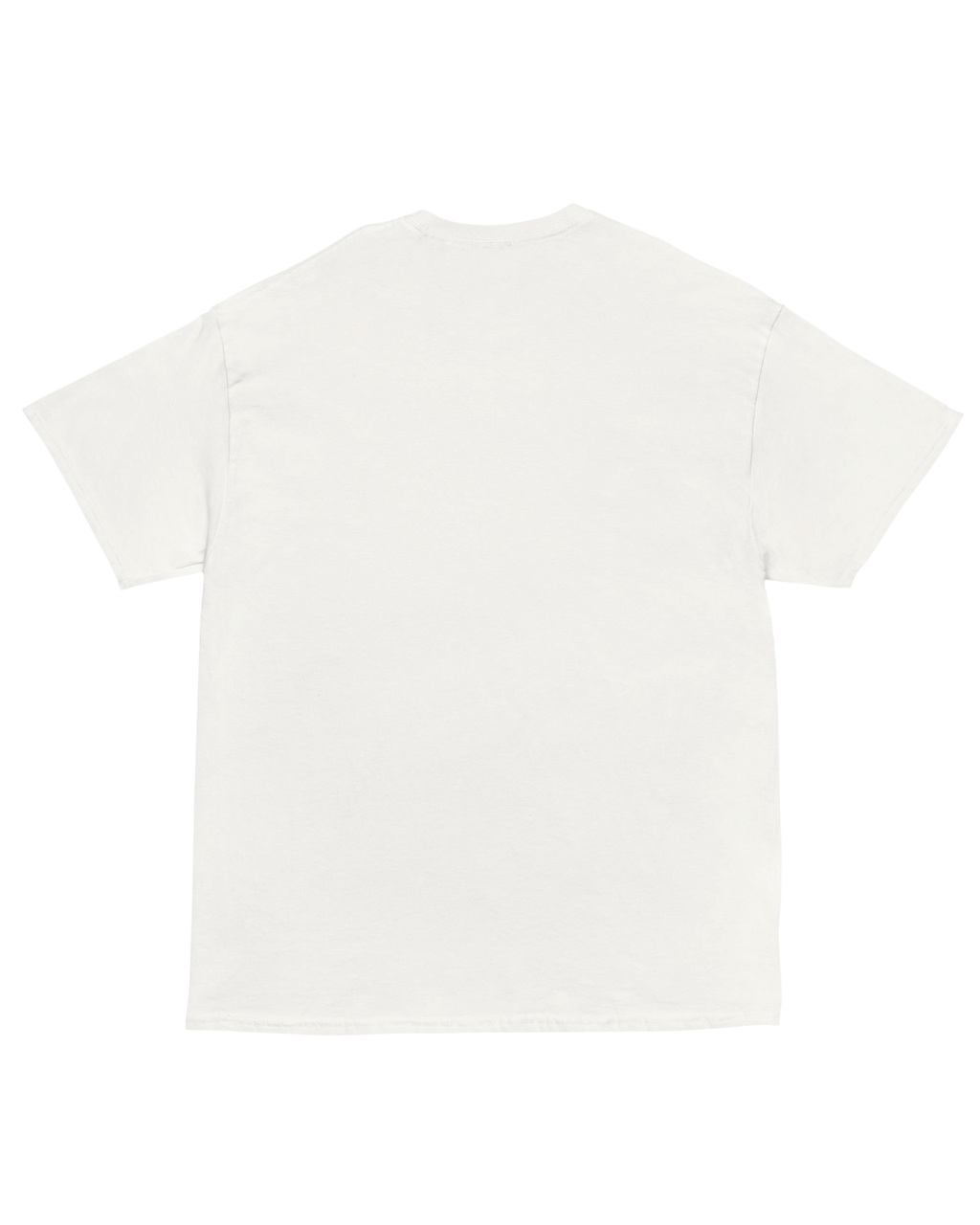 T-shirt PRONOUNS : TAX/FRAUD