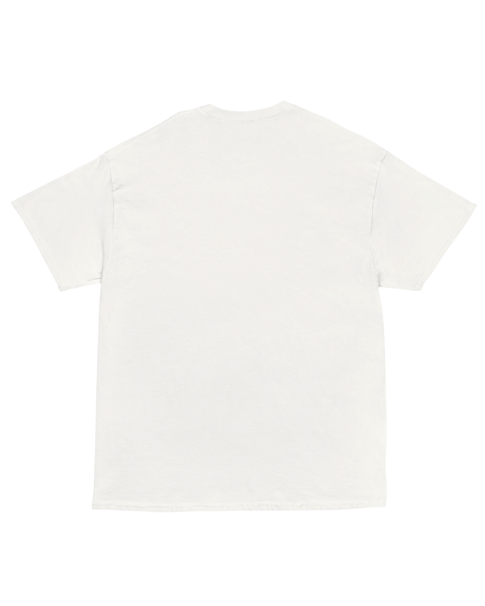 T-shirt PRONOUNS : TAX/FRAUD