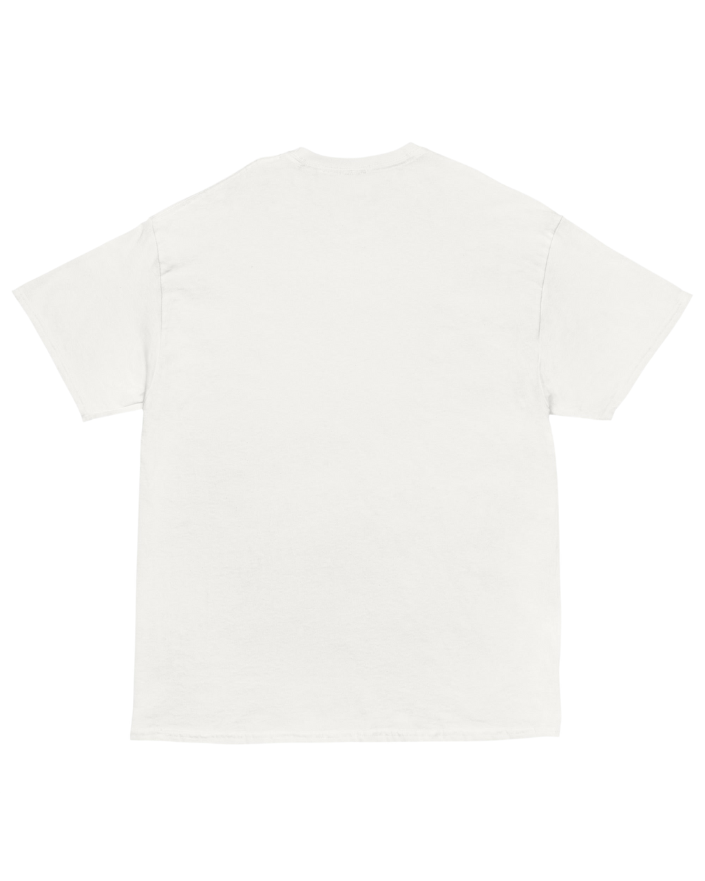 T-shirt TAXEZ LFI